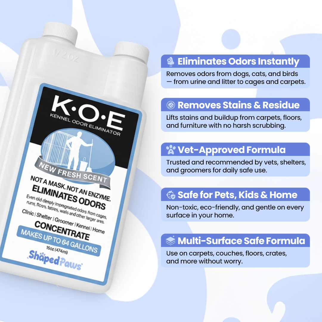 Pet Odor & Stain Eliminator